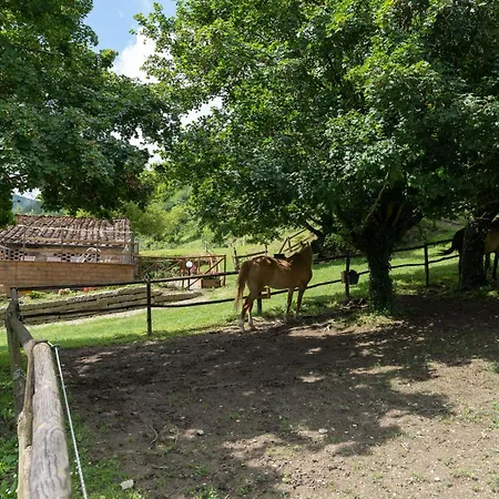 カントリーハウス Di Alberi Without Kitchen *