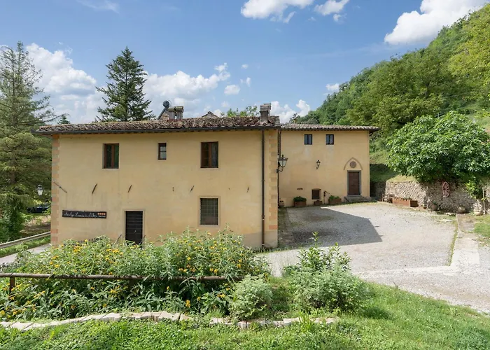 Di Alberi Without Kitchen