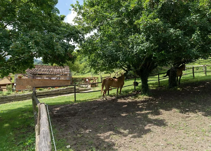 Country house Di Alberi Without Kitchen *